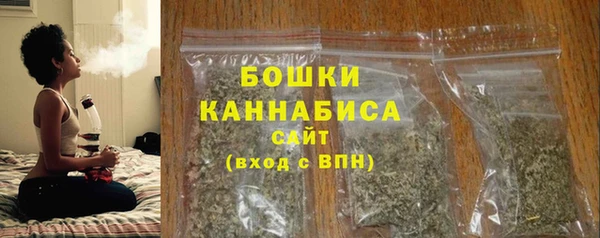 шишки Богородицк