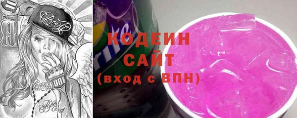 шишки Богородицк